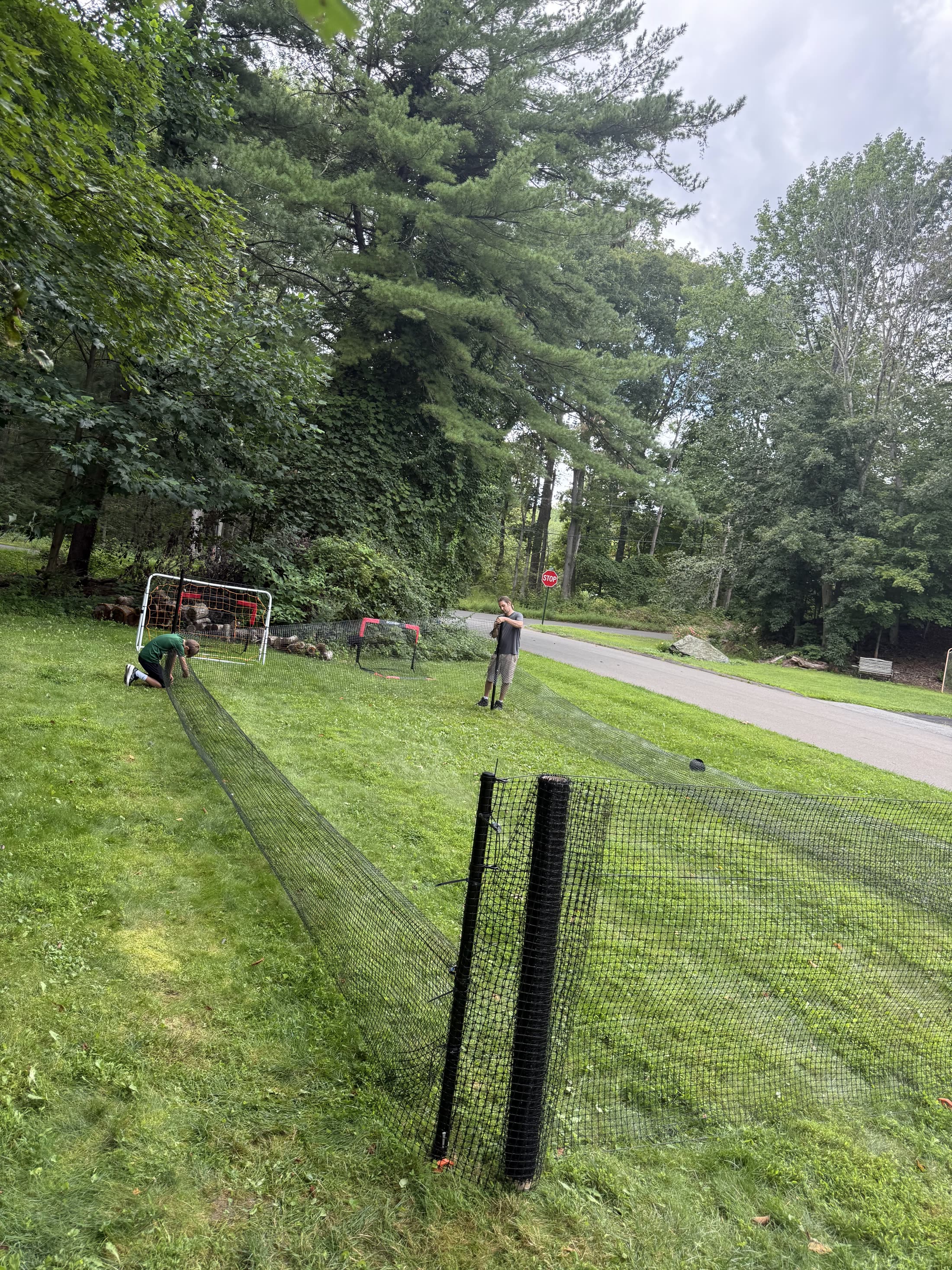 A boy kneeling to fix netting to the ground while a man stands a post up, a roll of black fencing waiting in the foreground
